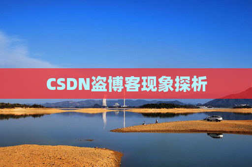 CSDN盗博客现象探析